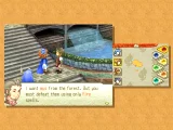 Final Fantasy Crystal Chronicles: Echoes of Time (WII)