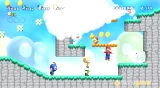 New Super Mario Bros. (WII)