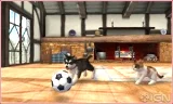 Nintendogs + Cats - French Bulldog & New Friends (Select) (WII) - Nintendo 3DS