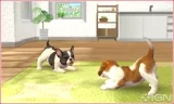Nintendogs + Cats - French Bulldog & New Friends (Select) (WII) - Nintendo 3DS
