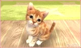Nintendogs + Cats - Golden Retriever & New Friends (Select) (WII)