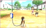 Nintendogs + Cats - Toy Poodle & New Friends (Select) (WII) - Nintendo 3DS