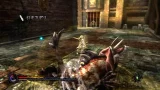 Pandoras Tower (WII) - Fantasy