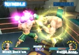 Ready 2 Rumble Revolution (WII) - Boxovanie