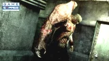 Resident Evil: The Darkside Chronicles (WII)