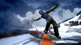 Winter Sports 2011: Go for Gold (WII)