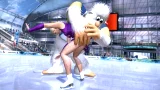 Winter Sports 2011: Go for Gold (WII)