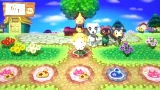 Animal Crossing: Festival + Amiibo Isabel + 3 karty (WIIU) - Arkáda