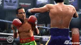 Fight Night Round 4 (XBOX 360) - Boxovanie