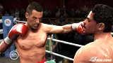 Fight Night Round 4 (XBOX 360) - Boxovanie