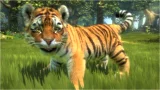 Kinectimals (XBOX 360) - Párty