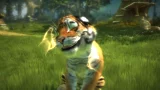 Kinectimals (XBOX 360) - Párty
