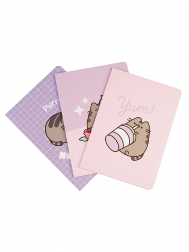 Zápisník Pusheen - Pusheen Moments (3 kusy)