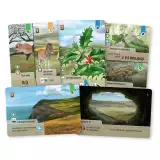Stolová hra Smíšený les: Dartmoor Exmoor (rozšírenie) - Strategická stolová hra