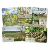 Stolová hra Smíšený les: Dartmoor Exmoor (rozšírenie) - Budovateľské
