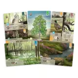 Stolová hra Smíšený les: Dartmoor - Strategická stolová hra