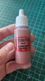 recenze-expertni-posudek