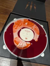 recenze-analyza-vysledku