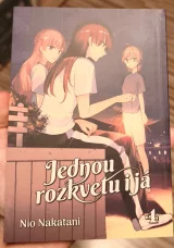 recenze-inscenace