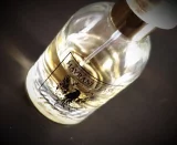 recenze-souhrnna-zprava