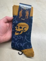 recenze-expertni-posudek